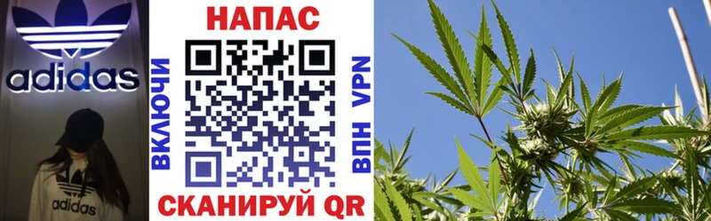 Марихуана OG Kush Крымск